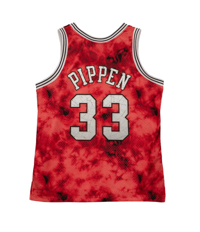 Pippen Galaxy